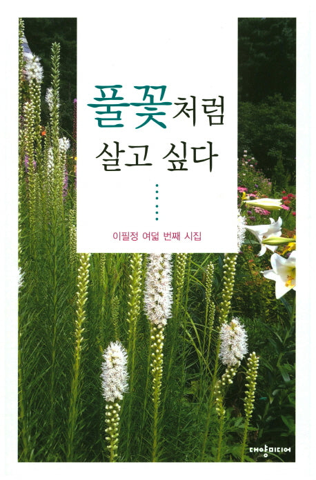풀꽃처럼 살고 싶다