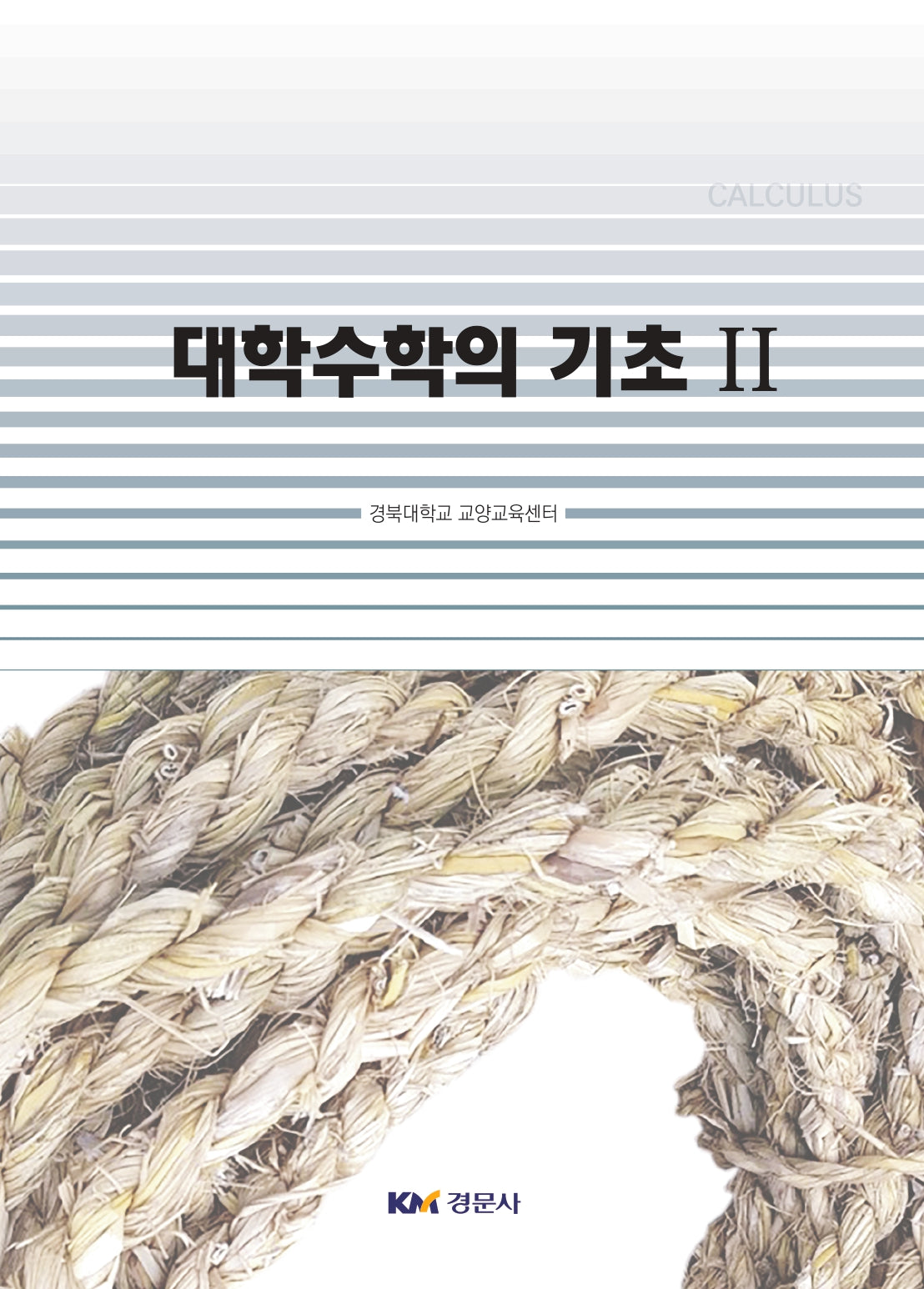 대학수학의 기초 2