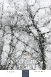 폭풍의 언덕(휴머니스트 세계문학 11)