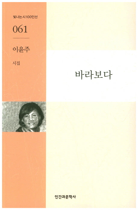 바라보다(빛나는시100인선 61)