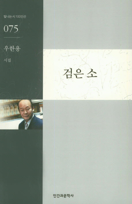 검은 소(빛나는시 100인선 75)