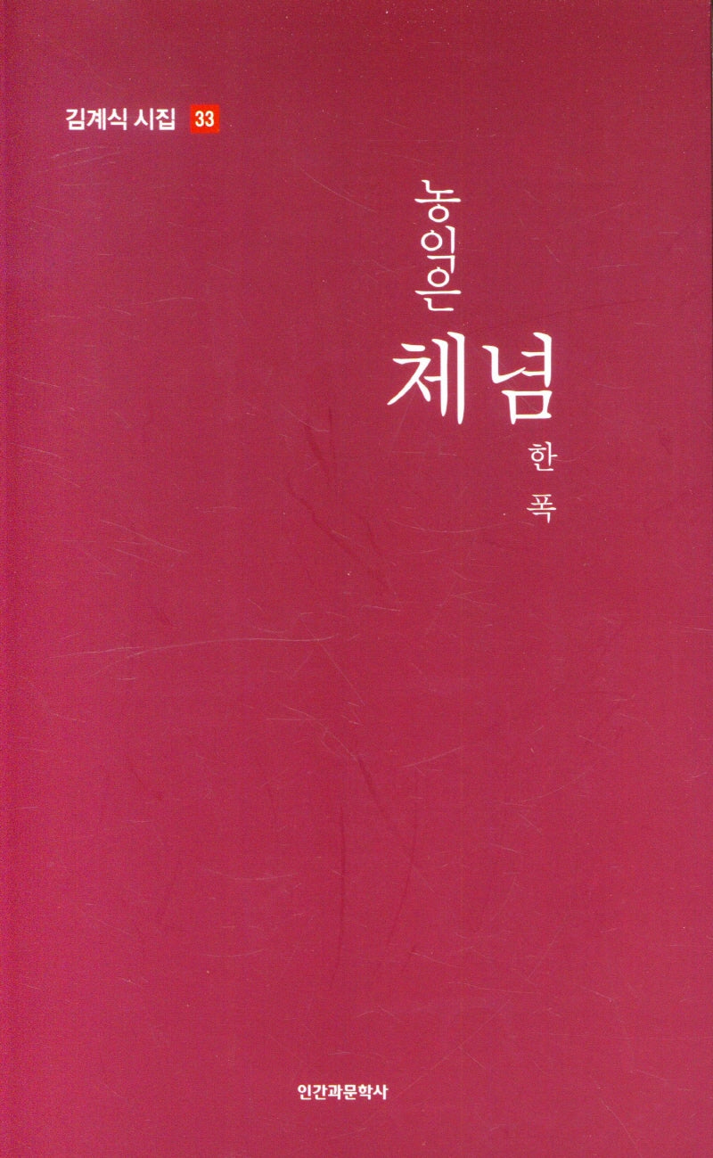 농익은 체념 한 폭(김계식 시집 33)