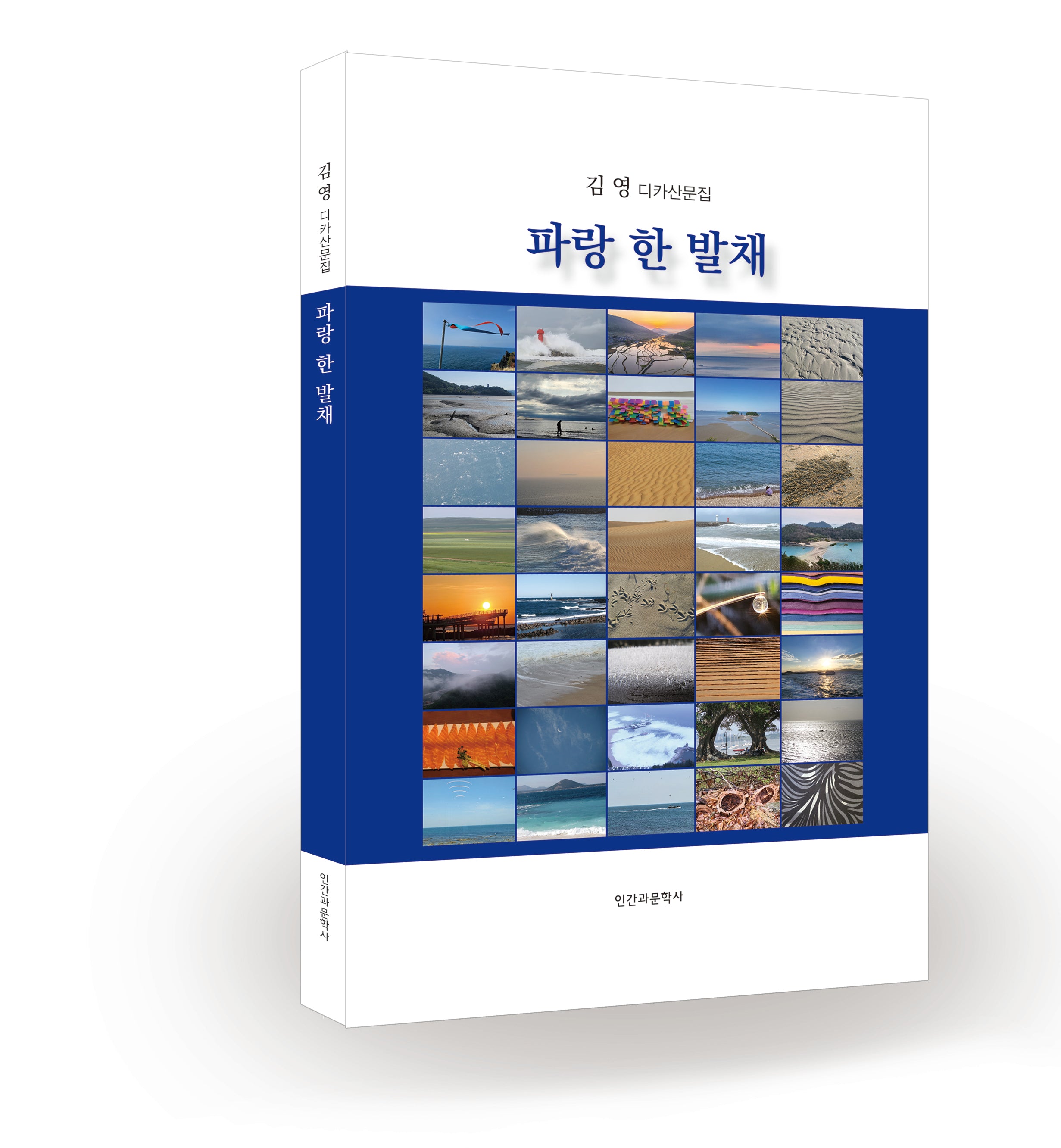 파랑 한 발채