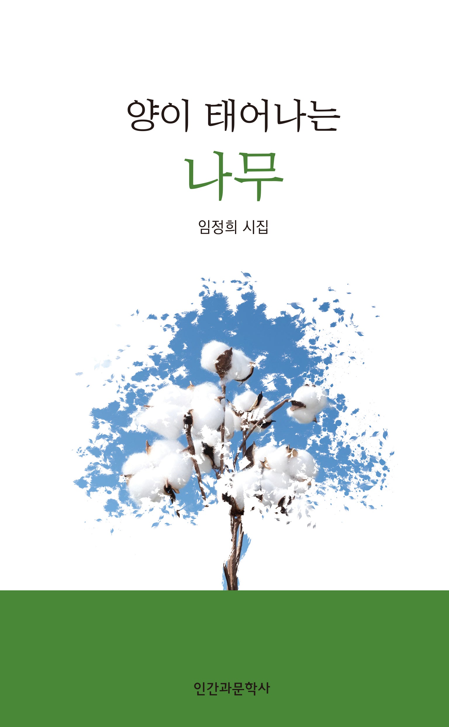 양이 태어나는 나무