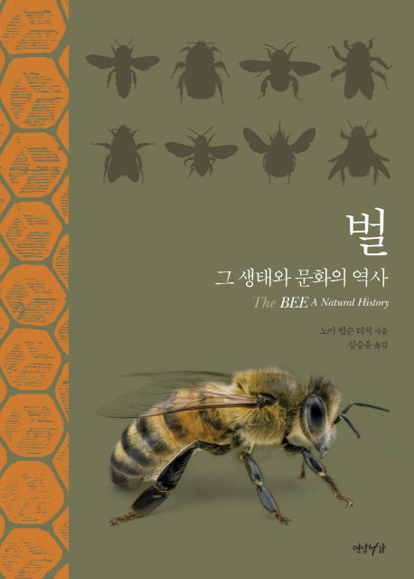 벌(양장본 HardCover)