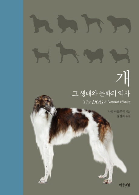 개(양장본 Hardcover)