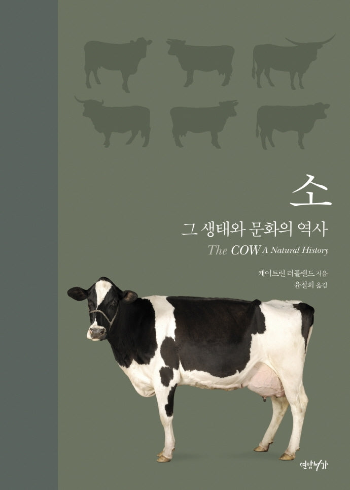 소(양장본 Hardcover)