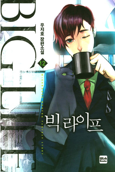 빅 라이프 12