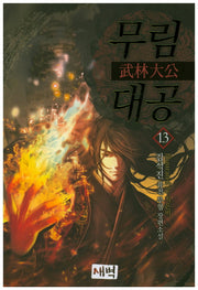 무림대공 13