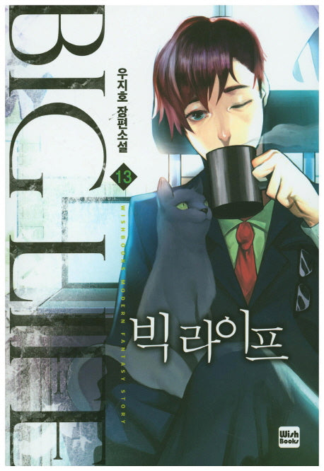 빅 라이프 13