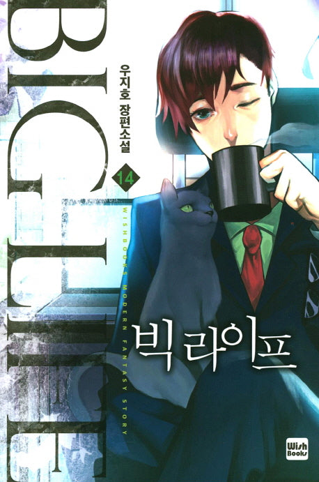 빅 라이프 14