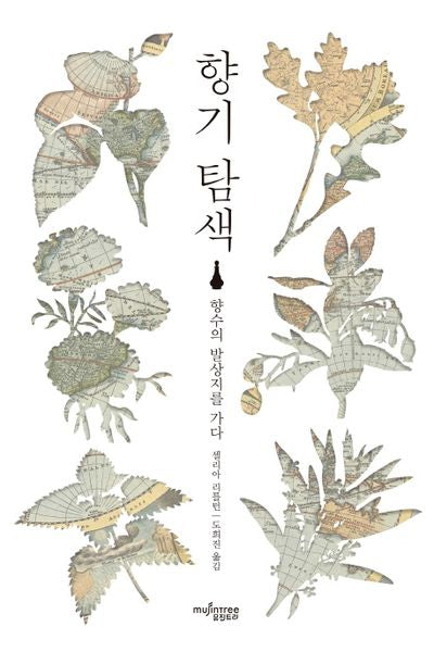 향기 탐색
