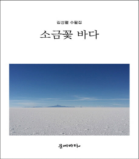 소금꽃 바다