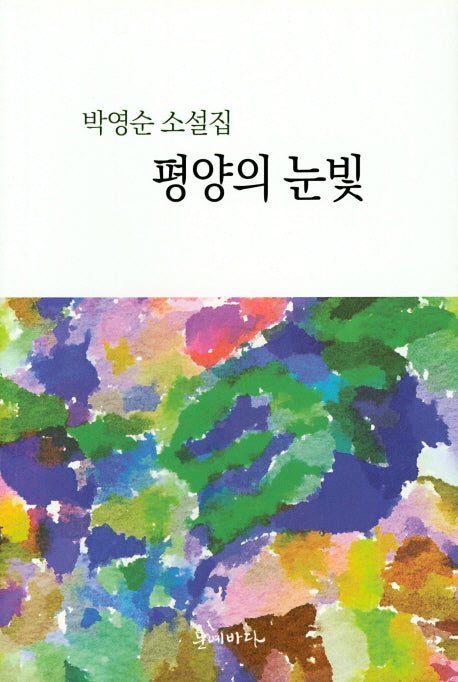 평양의 눈빛