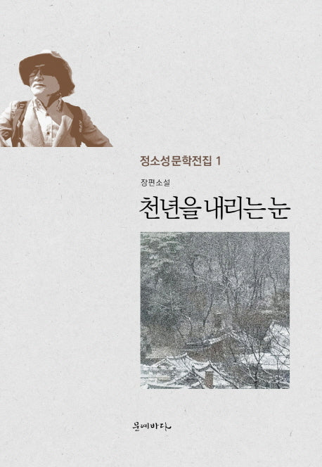 천년을 내리는 눈(정소성 문학전집 1)