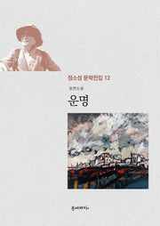 운명(정소성 문학전집 12)