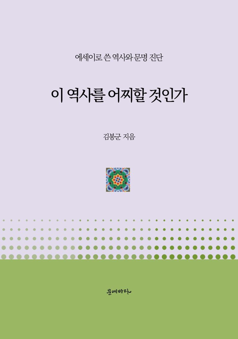 이 역사를 어찌할 것인가(양장본 Hardcover)