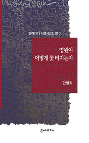 영원이 어떻게 꽃 터지는지(문예바다 서정시선집 10)