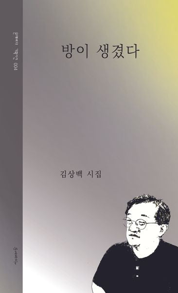 방이 생겼다(문예바다 기획시선 4)