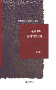 불로 끄다, 물에 타오르다(문예바다 서정시선집 19)