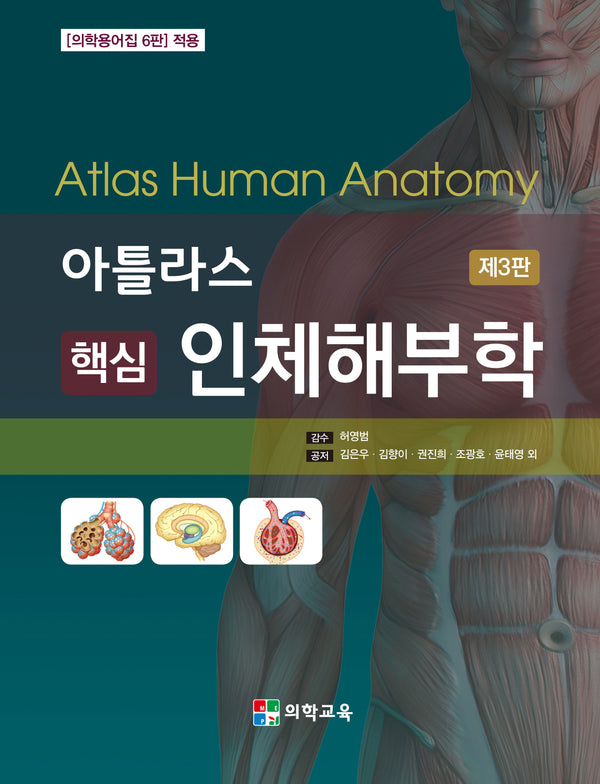 아틀라스 핵심 인체해부학(3판)