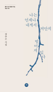나는 언제나 내게서 저만치 떨어져 있다