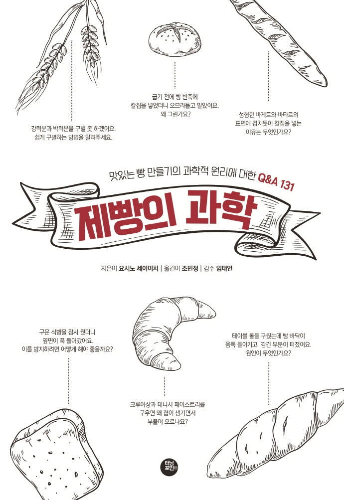 제빵의 과학