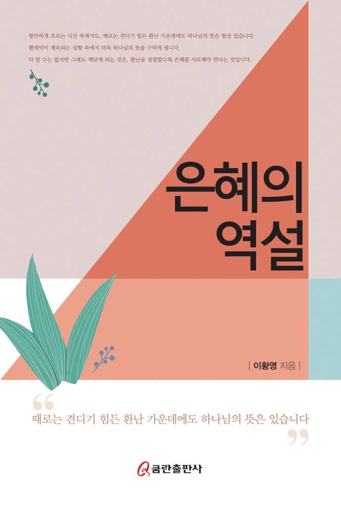 은혜의 역설