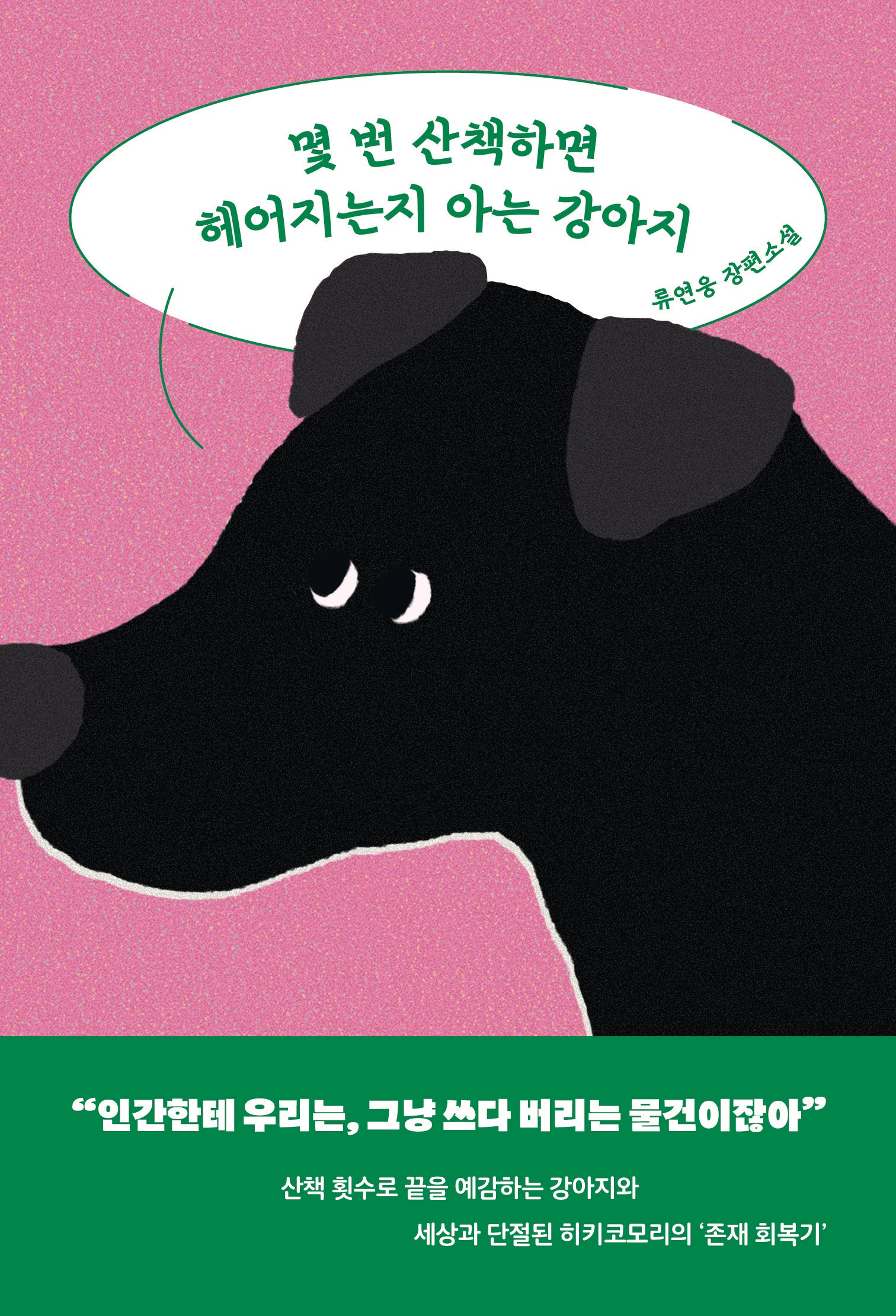 몇 번 산책하면 헤어지는지 아는 강아지
