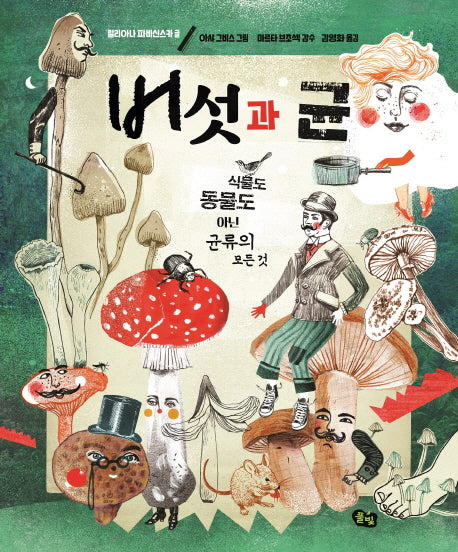 버섯과 균(빅북)(풀빛 지식아이)(양장본 Hardcover)