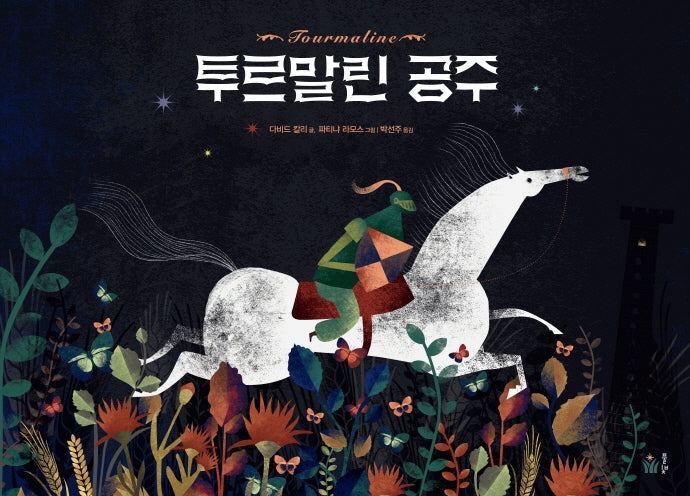 투르말린 공주(풀빛 그림 아이)(양장본 Hardcover)