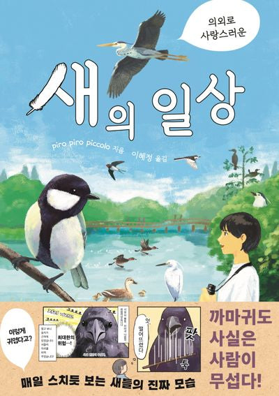 의외로 사랑스러운 새의 일상