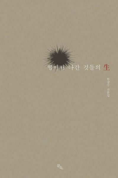 떨어져 나간 것들의 생