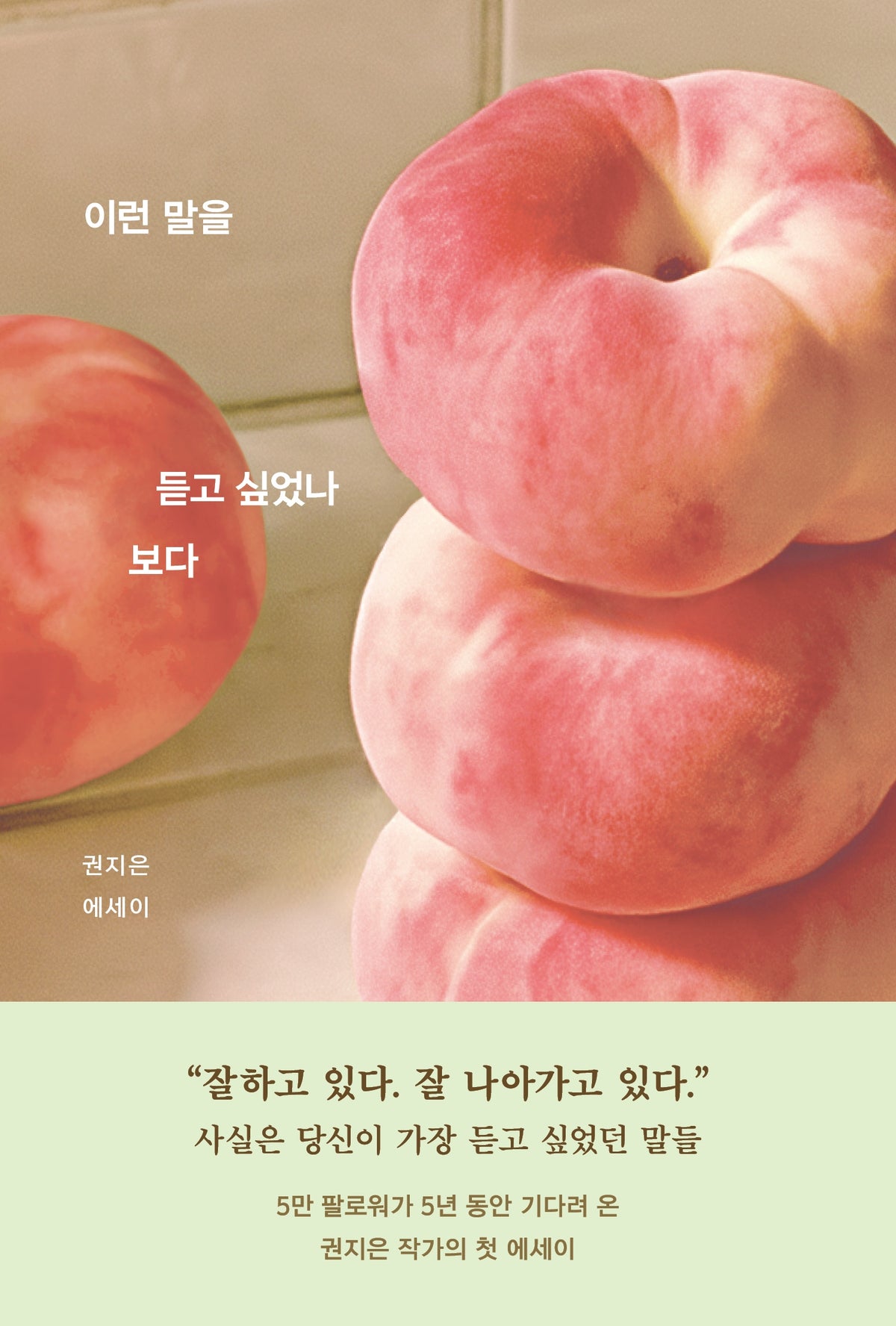 이런 말을 듣고 싶었나 보다