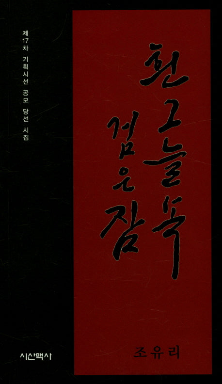 흰그늘 속 검은잠(시산맥 기획시선 59)