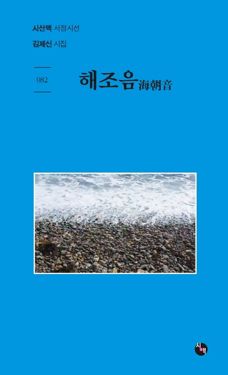 해조음(시산맥 서정시선 82)
