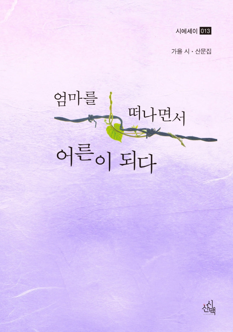 엄마를 떠나면서 어른이 되다(시산맥 시에세이 13)