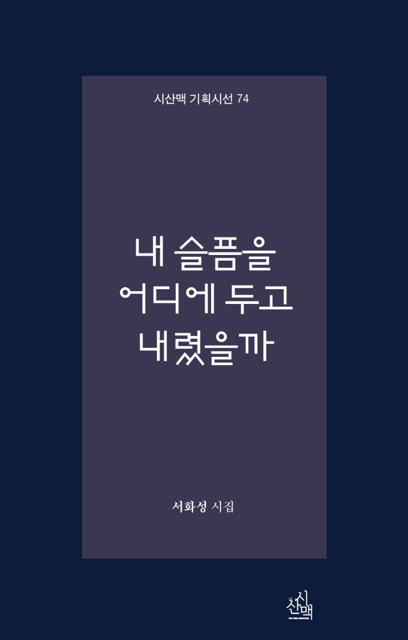 내 슬픔을 어디에 두고 내렸을까(시산맥 기획시선 74)