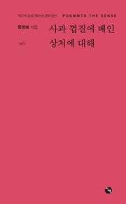 사과 껍질에 베인 상처에 대해(시산맥 서정시선 65)