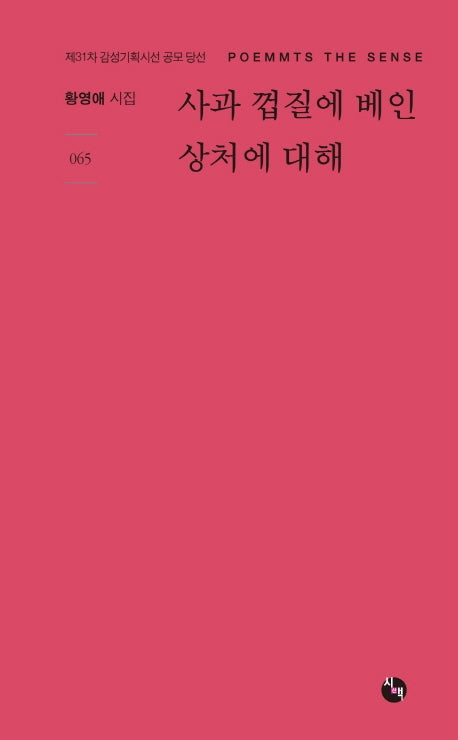 사과 껍질에 베인 상처에 대해(시산맥 서정시선 65)