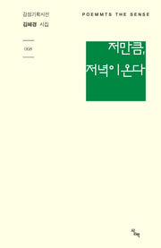 저만큼, 저녁이 온다(감성기획시선 68)