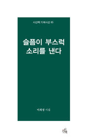 슬픔이 부스럭 소리를 낸다(시산맥 기획시선 85)