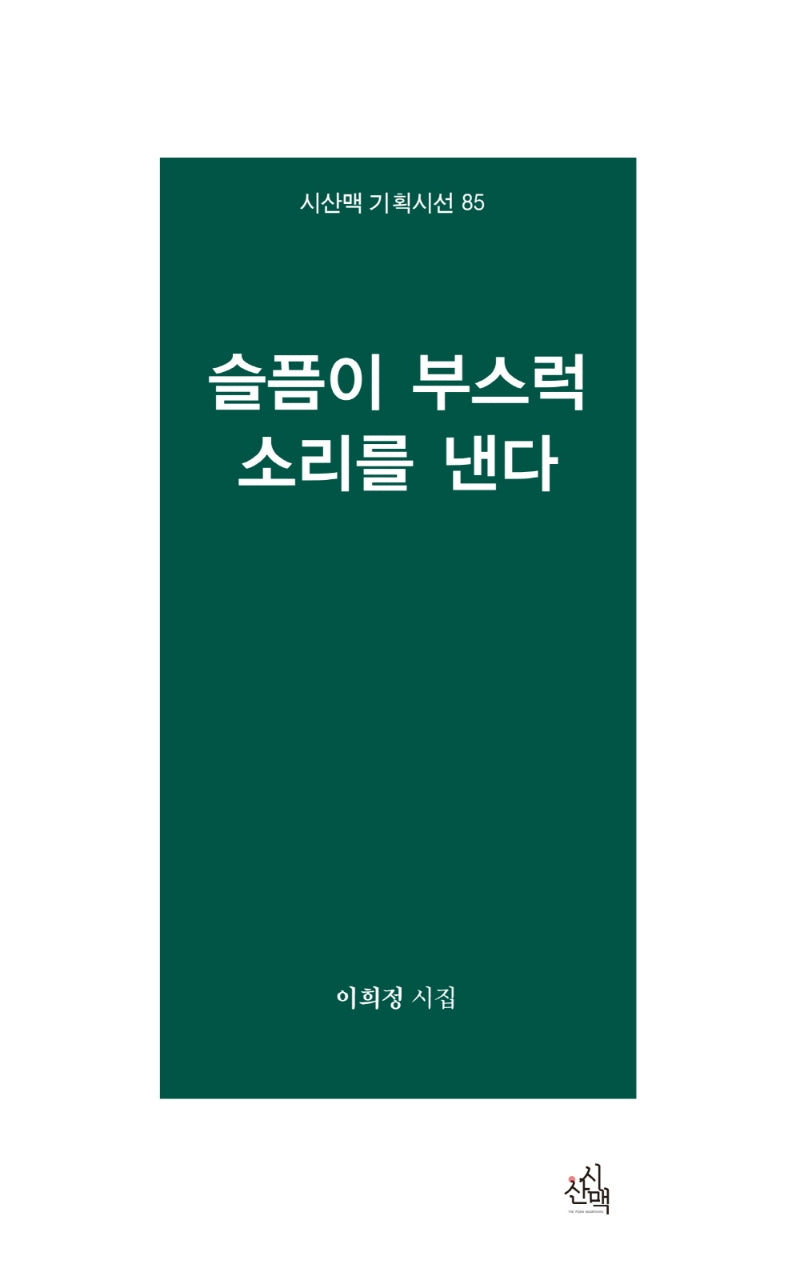 슬픔이 부스럭 소리를 낸다(시산맥 기획시선 85)