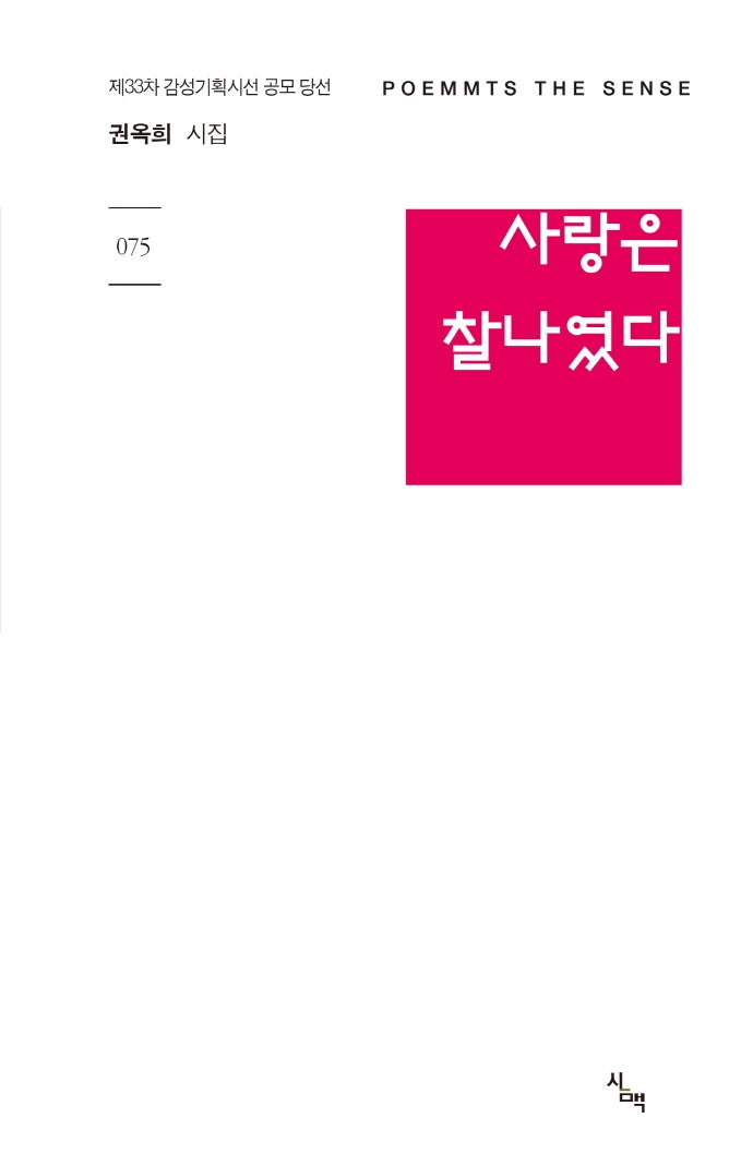 사랑은 찰나였다(감성기획시선 75)