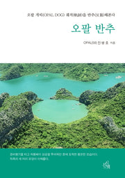 오팔 반추(시에세이 15)