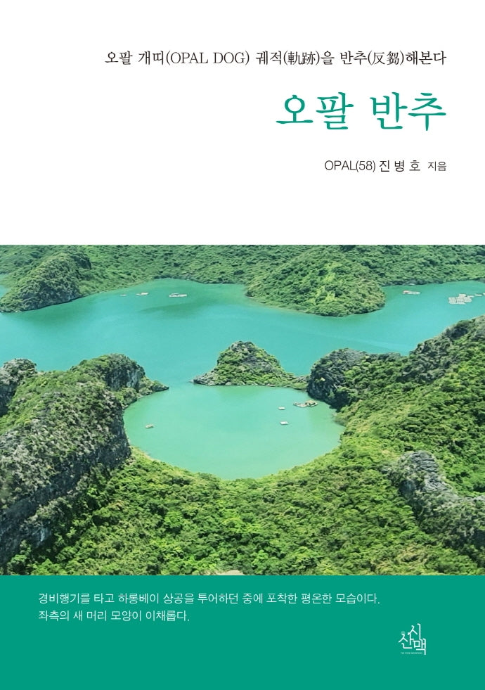 오팔 반추(시에세이 15)