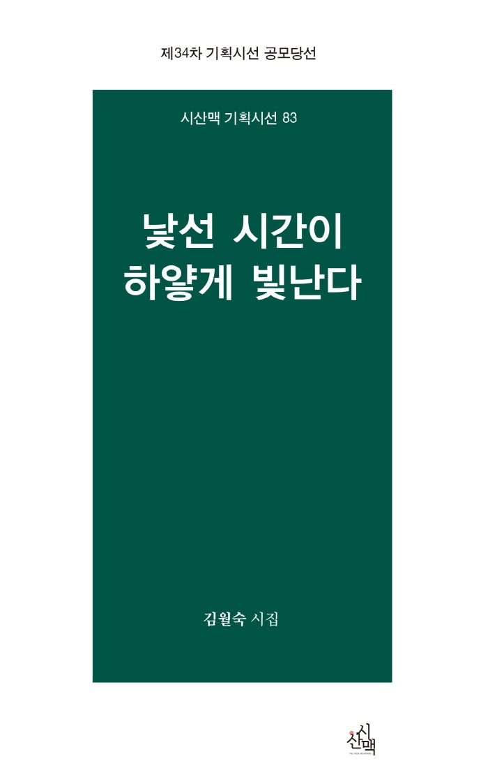 낯선 시간이 하얗게 빛난다(시산맥 기획시선 83)
