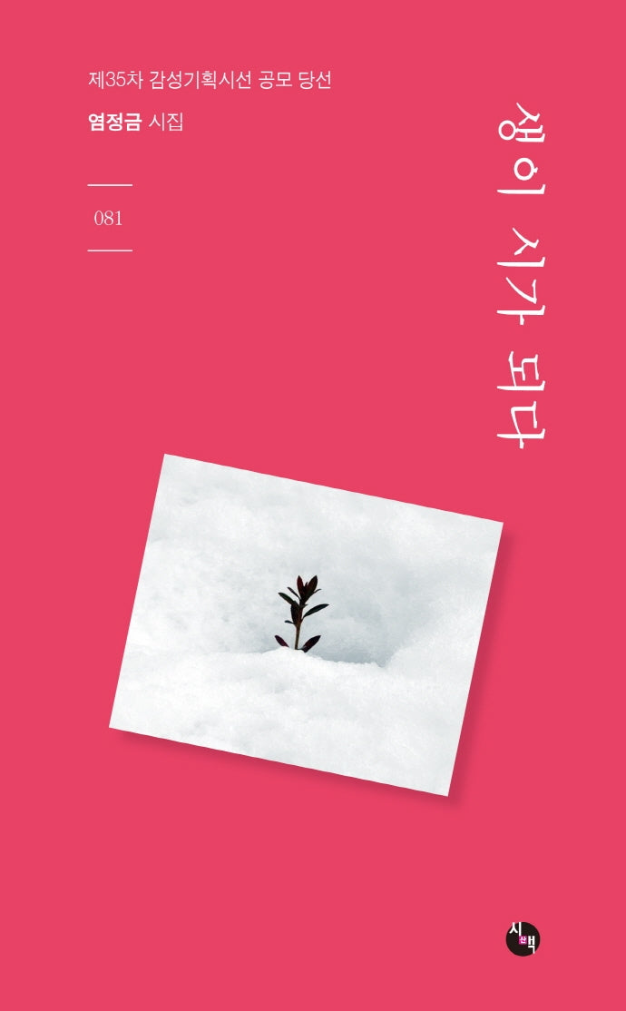 생이 시가 되다(시산맥 81)