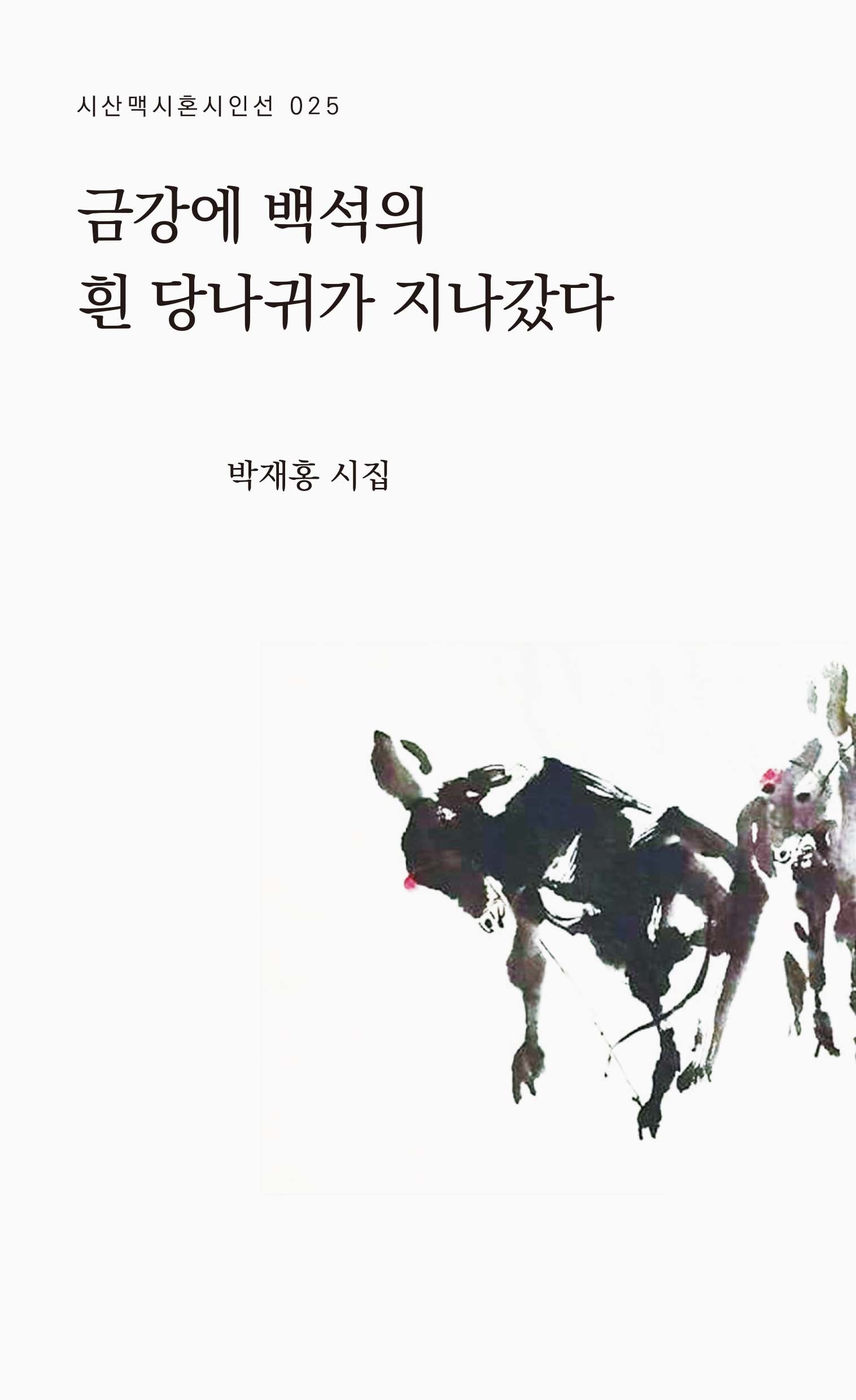 금강에 백석의 흰 당나귀가 지나갔다(시혼시인선 25)