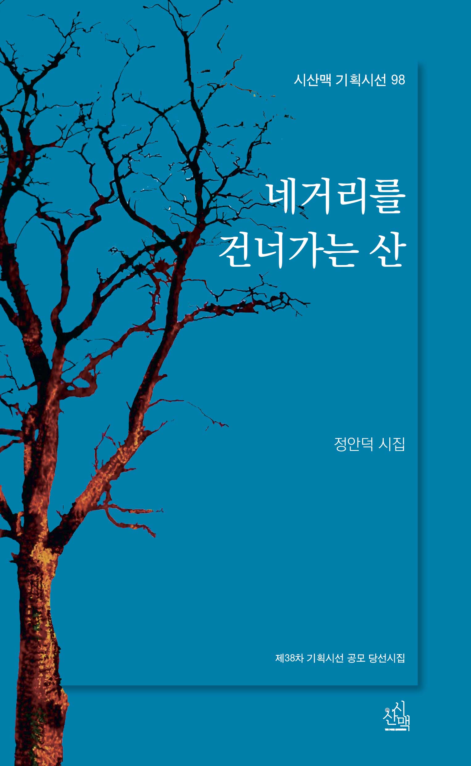 네거리를 건너가는 산(시산맥 기획시선 98)